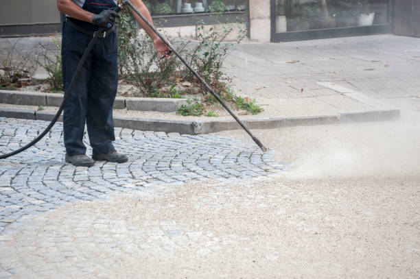 Best Roof Washing  in Elverson, PA